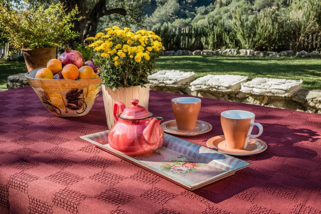 Mastrogiannis Villa Levanda Kavvadades المظهر الخارجي الصورة
